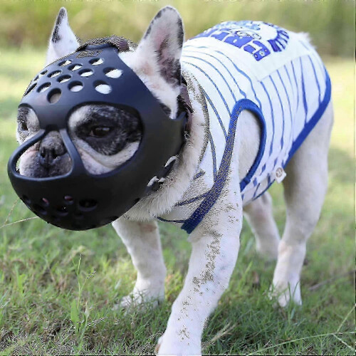 (Black, M) Bite-proof muzzle for short-snout breeds, soft silicone for aggressive dogs