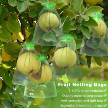100pcs Fruit Protection Bags, Anti-Insect and Bird-Proof Rope Bags for Plants, 10*15cm (Fruity Green) SD021