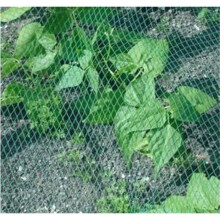 4m x 10m Aviary Netting, Bird-Proof Mesh, Protection for Plants, Vegetables, Fruit, Ponds, and Gardens