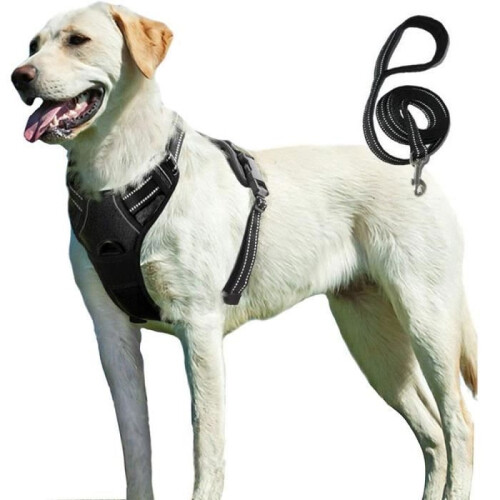 Dog Harness - BIGILANTUH - M - Anti-Pull - Reflective - Durable