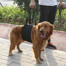 ZHA Dog Support Harness for Rehabilitation, Lifting and Assistance, Black with Handle for Canine Assistance (XL)