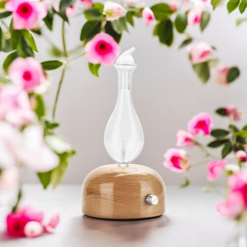 Zen'Arôme Aurora Nebulizing Essential Oil Diffuser - Cold Diffuse - Ideal for Aromatherapy - Powerful