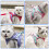 Dog Adjustable Training Vest Harness Belt Comfortable Dog-S 3 5