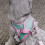 Dog Adjustable Training Vest Harness Belt Comfortable Dog-S 3 7