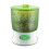(UK 2 Layer) Sprouting machine for beans with automatic watering system 1