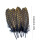 Hardened Large Floating Plumage With Fish Scale Print-1 pack 4