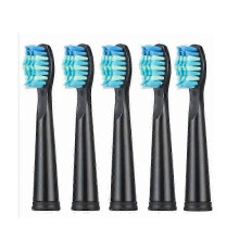 (black) Seago Toothbrush Replacement Heads 5pcs for SG610 SG908 SG917 958