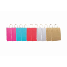 Coloured Large Gift Bags (10 pieces)