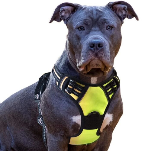 Anti-Pull Harness - BIGILANTUH - S - Reflective - Breathable - Durable
