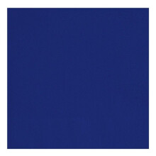 True Navy Blue Napkins (Pack of 20)