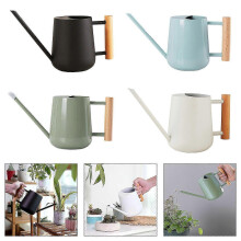 Stainless Steel Watering Can 1000ml for Indoor Plant And Outdoor Garden with Long Spout Green