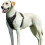 Anti-Pull Harness - BIGILANTUH - S - Reflective - Breathable - Durable 1
