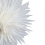 Beliani Christmas Decoration Table Lamp SATOPANTH Star 70 cm White 3
