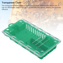 Plastic Queen Bee Catcher Kit