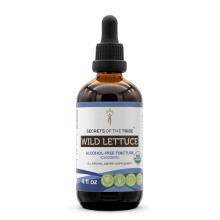 Secrets of the Tribe Wilde Sla USDA Biologisch | Alcoholvrije Extract, Krachtige Kruidendruppels, Spijsvertering