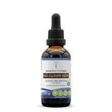 Tinctuur van Rode Klaver USDA Biologisch | Alcohol-VRIJ Extract, Hoge Potentie Kruidendruppels