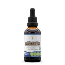 Dandelion Leaf USDA Organic | Alcohol-Vrij Extract, Krachtige Kruidendruppels, Spijsverteringssysteem