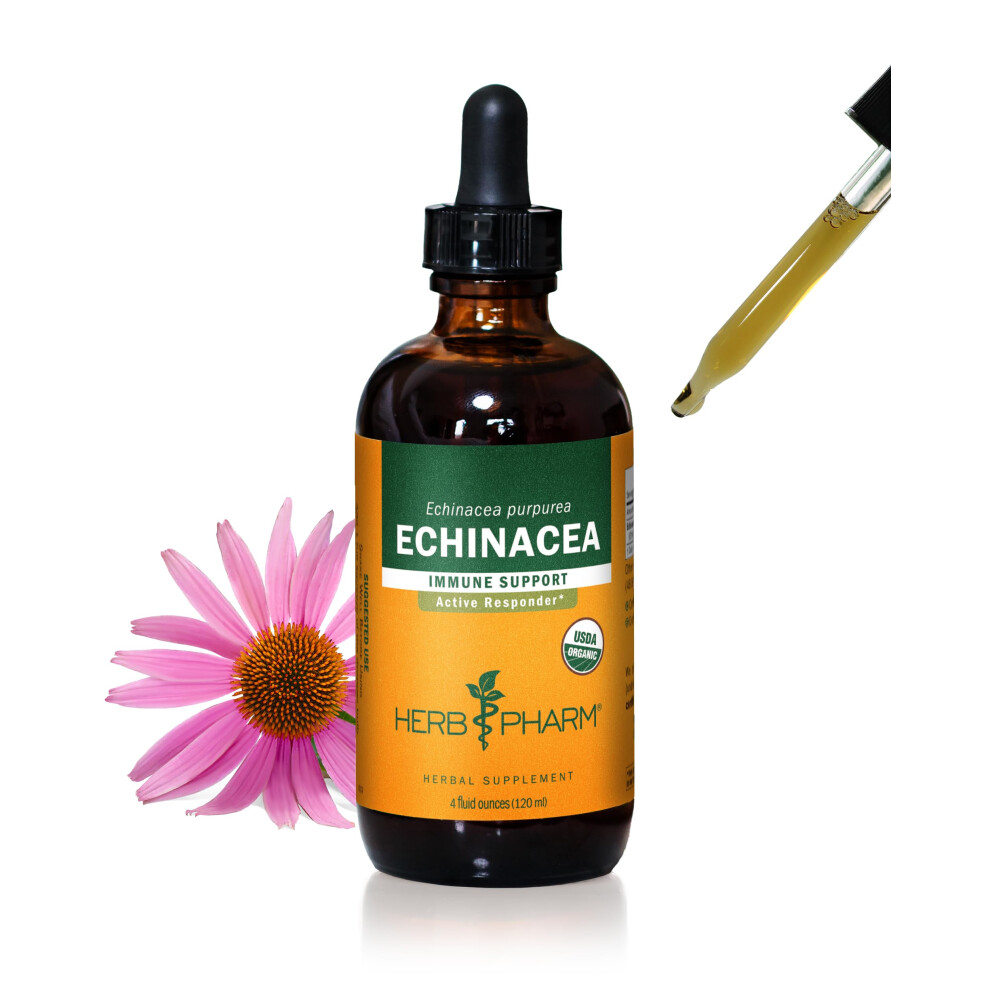 Herb Pharm Certified Organic Echinacea Root Liquid Extract For Immune System Support, Organic Cane Alcohol, 4 Ounce