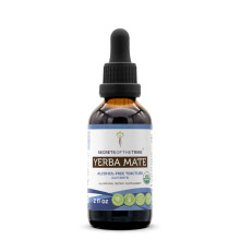 Secrets of the Tribe Yerba Mate USDA Ekologisk Tinktur | Alkohol-Fri Extrakt, Hög Potens
