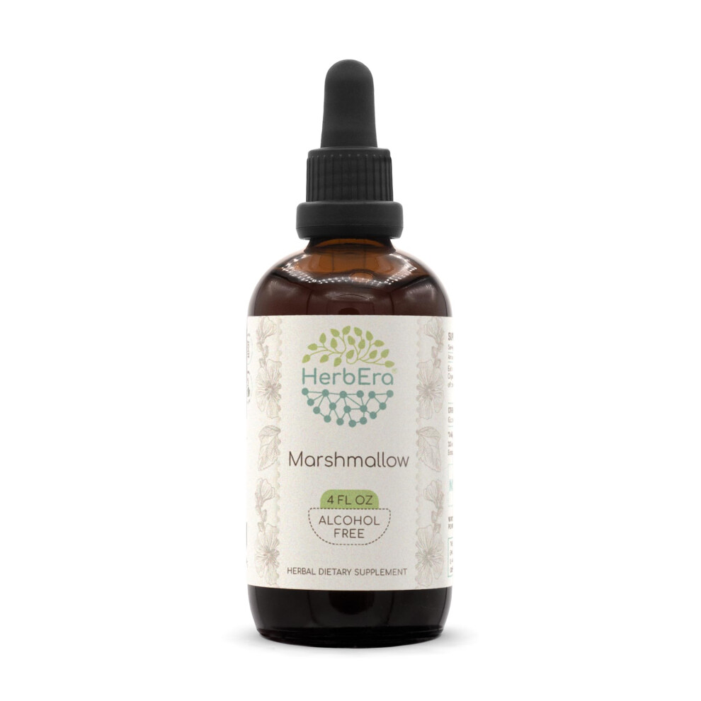 Herbera Marshmallow Root B120 Alcohol-Free Herbal Extract Tincture, Super-Concentrated Marshmallow (Althaea Officinalis) (4 Fl Oz)