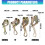Multiple Purpose Wire Rope Clamps Carbon Steel Cable-1T 4
