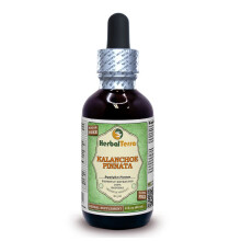 Herbal Terra LLC Kalanchoe Pinnata (Bryophyllum Pinnatum) Glicerina, Estratto Liquido Senza Alcol, 2 fl. oz