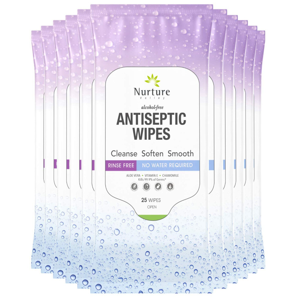 Nurture Valley Nurture Xl Antibacterial Body & Hand Wipes | Alcohol-Free Antiseptic Wet Sanitizer Towelettes For Germ Removal, Disinfecting Skin, Sanitizing Hands |C