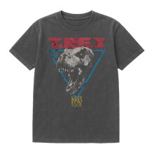 (XL, Black) Jurassic Park Unisex Adult T-Rex Vintage Wash T-Shirt