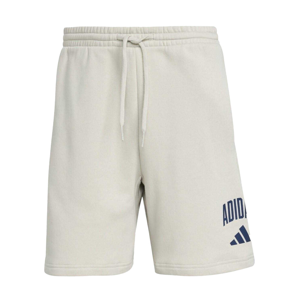 Adidas (L, Alumina/Blue) Mens Sweat Shorts Blue