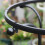 Plastic Coated Steel Plant Trellis 95cm 2