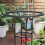 Plastic Coated Steel Plant Trellis 95cm 5