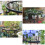 Plastic Coated Steel Plant Trellis 95cm 7