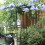 Plastic Coated Steel Plant Trellis 95cm 11