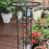 Plastic Coated Steel Plant Trellis 95cm 15