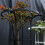 Plastic Coated Steel Plant Trellis 95cm 17