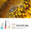 Queen Bee Marking Accessories: Pen & Cage Set 2