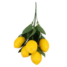 Limonentakken Voor Vaasdecoratie En Feest Foam