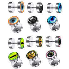 6Paren Decoratieve Titanium Oorstekers Dagelijks Gebruik