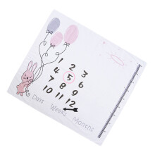 1Set Assorti Baby Foto Voor Newborn Wrap En Groeimomenten
