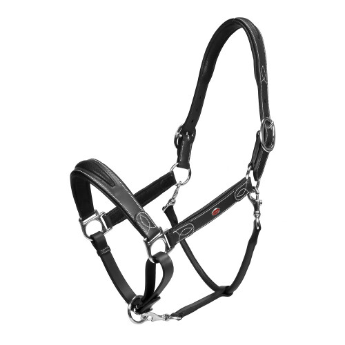 (Cob, Black) Whitaker Chicago Leather Horse Headcollar