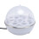 Electric Egg Boiler 350W 7 Eggs Anti Dry 9
