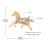 Broche cheval du zodiaque chinois à la mode pour-Couleur or 4