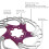 Floating Brake Rotor 16cm 6 Studs for MTB Cycling 5
