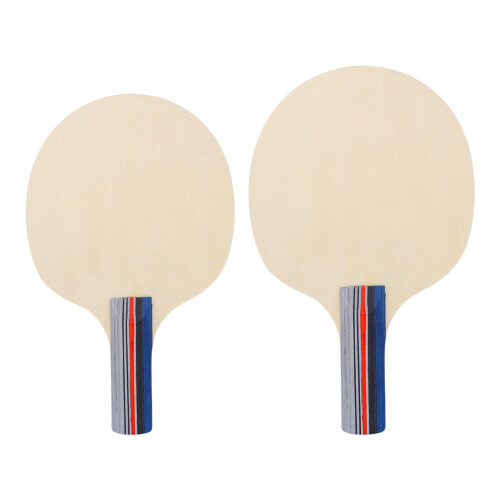 Raquettes de tennis de table adaptées aux- petite raquette bl 2