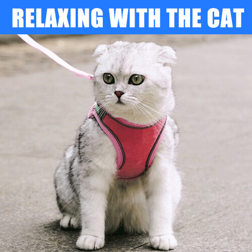 Dog Vest with Handle for Training Walking Belt for Large-S 2 1