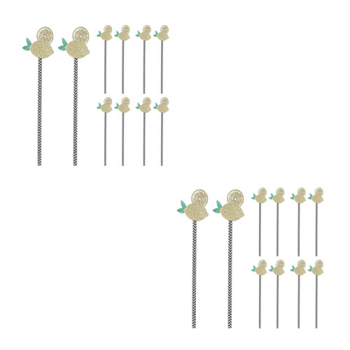 2 Pack Small Straws For Cocktails Fruit Party Drinking Decorative
