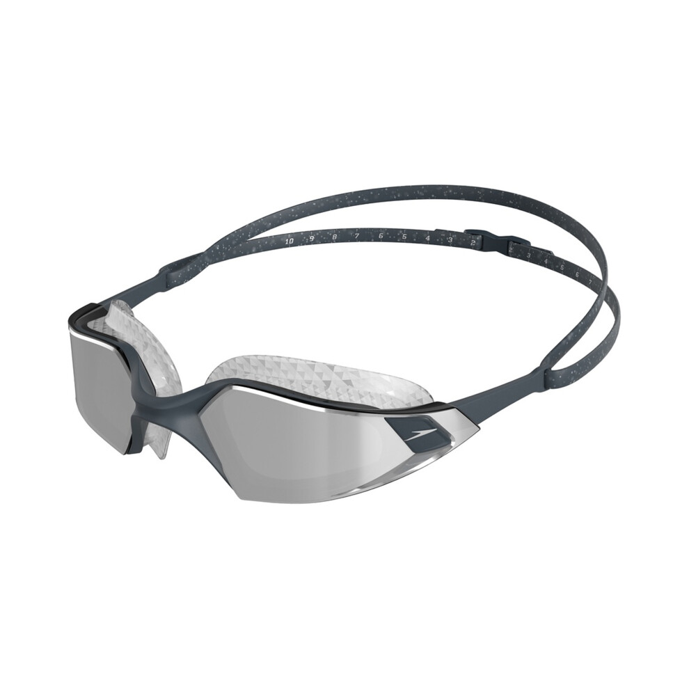 Speedo (One Size, ) Unisex Adult Aquapulse Pro Mirror Swimming Goggles Grey/Silver