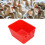 10PK Poultry Hanging Feeders 13