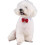 Cat Bow Tie Collar Red Bow Adjustable Cat Collar Formal Pet Bow Tie Collar for 3
