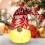 Christmas Ornaments - Gnomes - Red - LED Light - Soft Felt - Mixed 3
